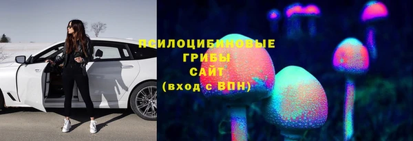 марихуана Абаза